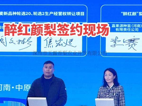 公司荣誉 